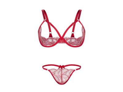 Pakaian Dalam Seksi Tanpa Penapis